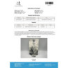 HALOS 5 MG (FLUOXYMESTERONE) | Potent Androgen | Driada Medical | DriadaShop
